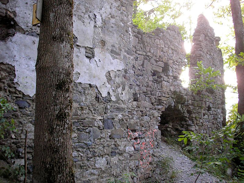 Burgruine mit Mauerresten in einem Wald