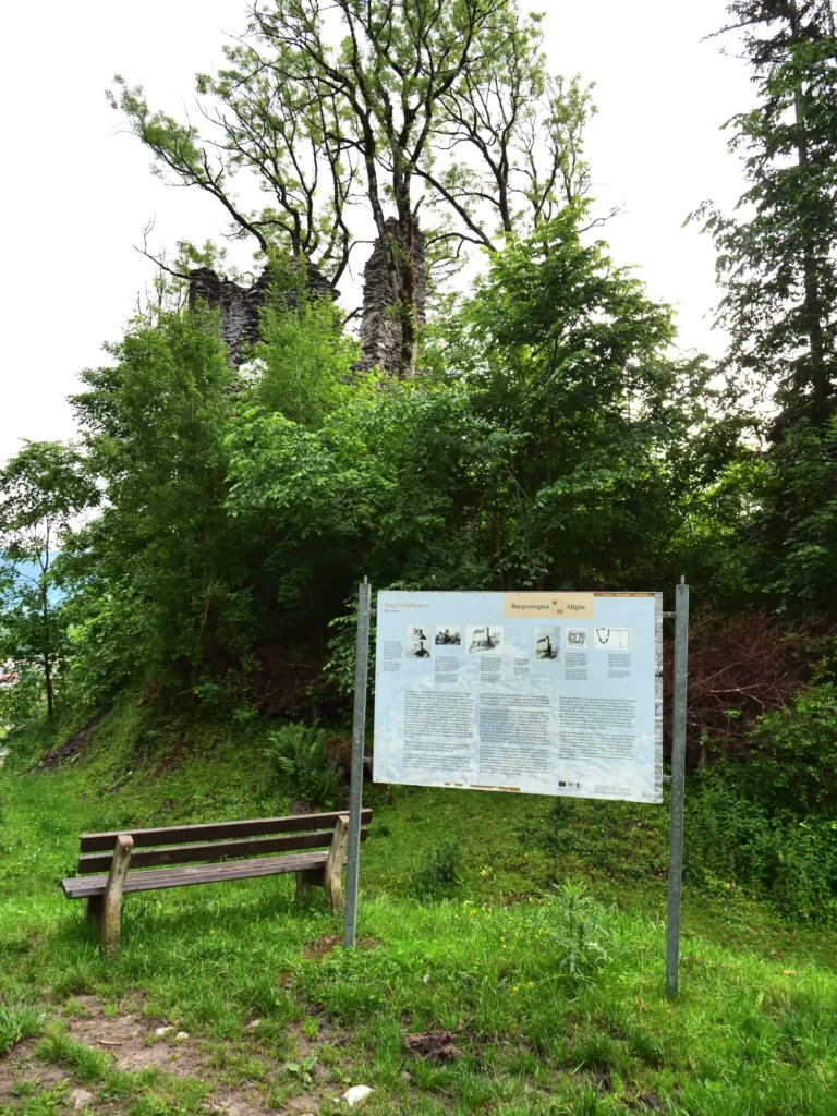 Burgruine Fluhenstein auf einem bewaldetem Hügel