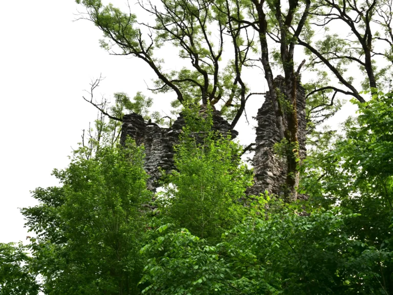 Mauerreste der Burgruine Fluhenstein auf einem bewaldetem Hügel
