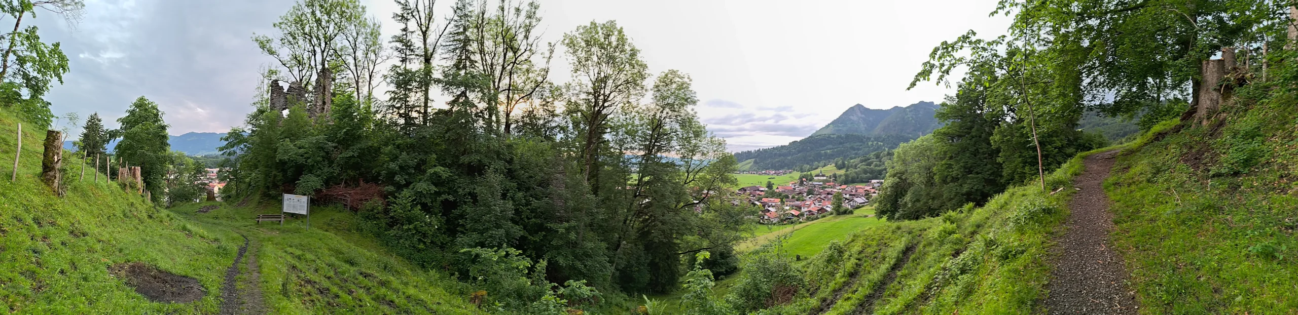 Panoramabild der Burgruine Fluhenstein auf einem bewaldetem Hügel